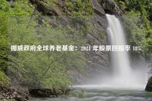 挪威政府全球养老基金：2024 年股票回报率 18%